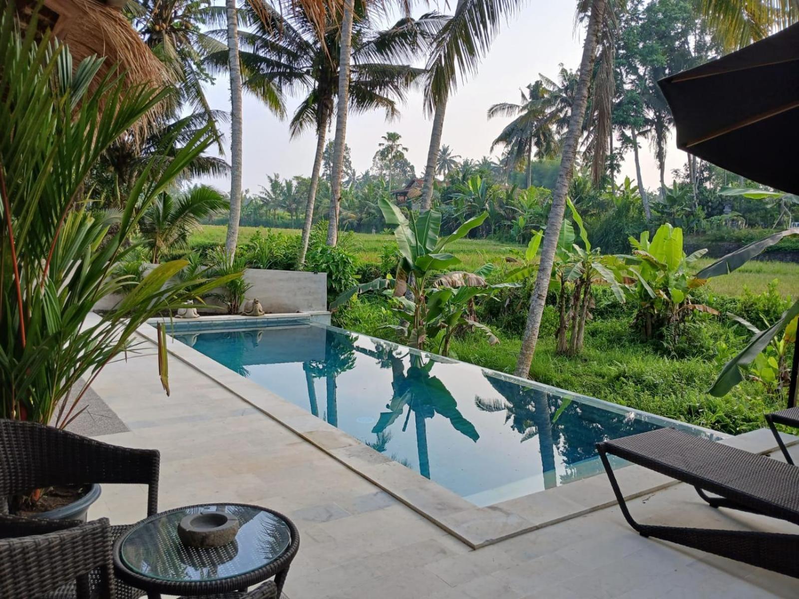 Bali View Ubud Hotel Exterior photo